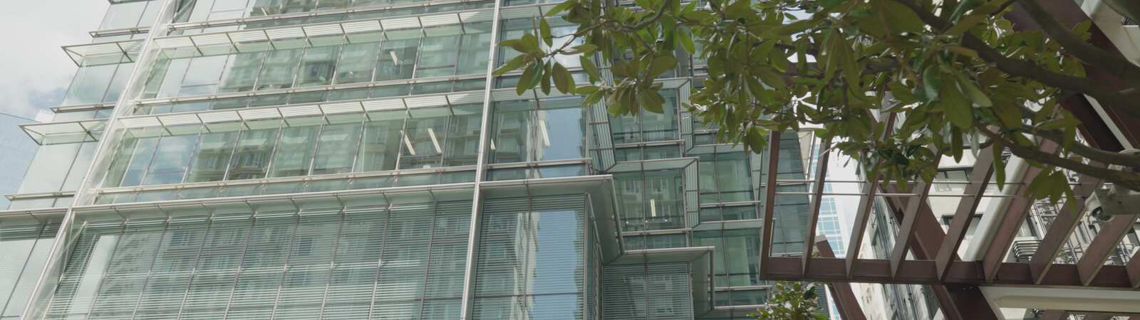 a glass building with trees